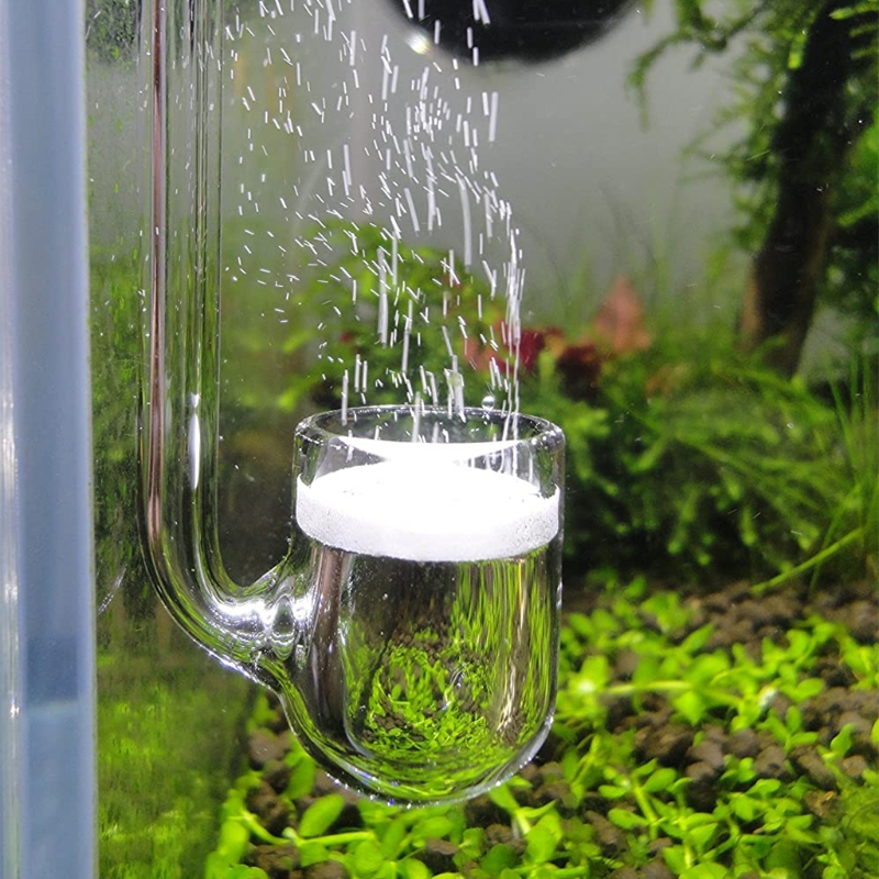 Aquarium Plant Design - D0AD Glass CO2 Diffuser for Aquarium,