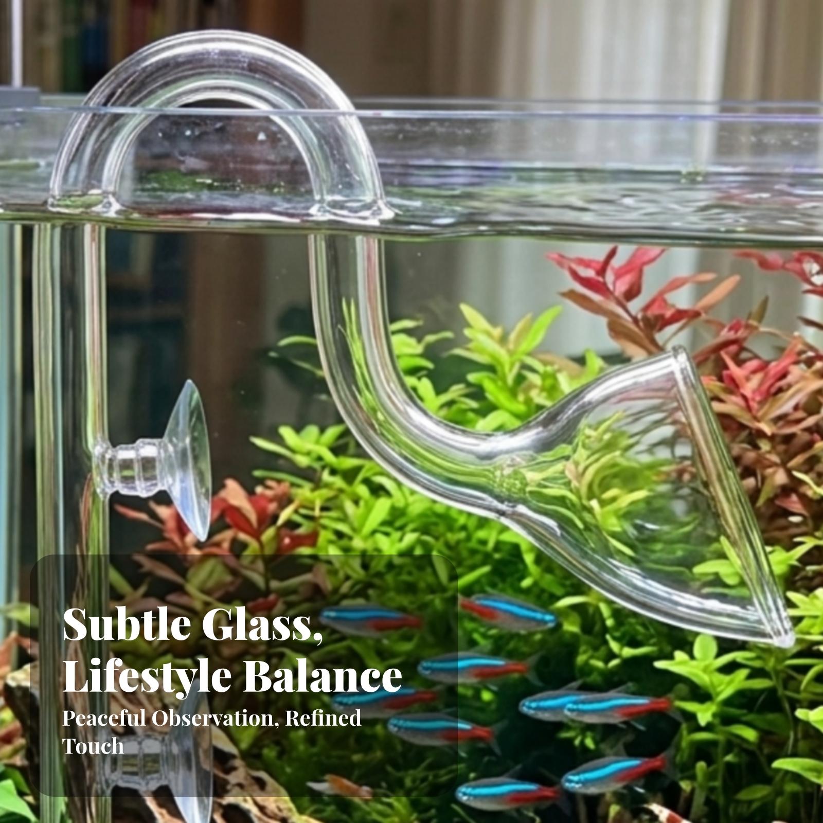 Aquarium For Planted Tank - Aquarium Filter Inlet and Outlet Transparent