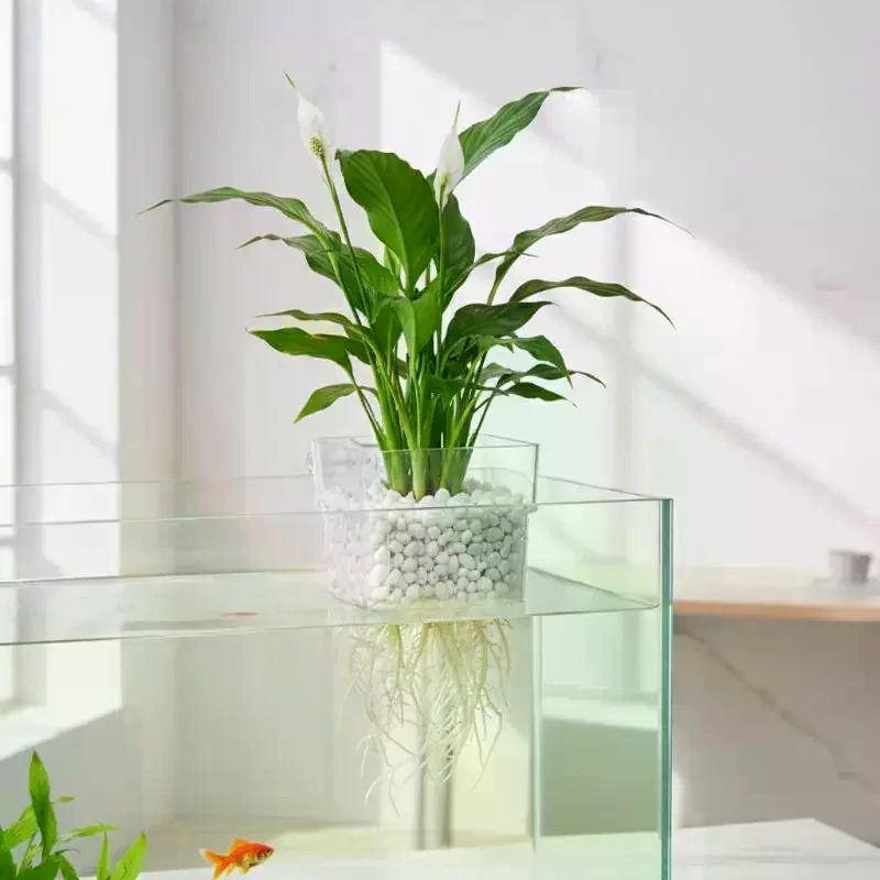 Fish Tank Aquatic Plant Cup 2  - огляд і ціна Aquarium Plant Roots