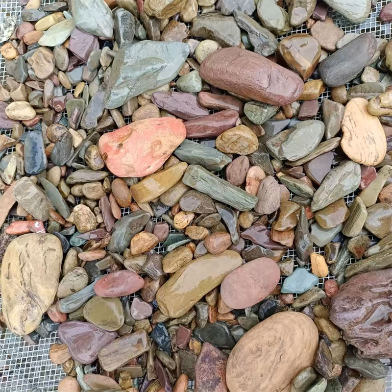 500g Fish Tank Bottom Sand Sto - огляд і ціна Aquarium Planted Sand