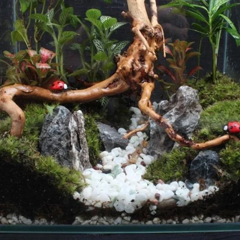 Natural Tree Trunk Driftwood A - огляд і ціна Aquarium Plant Roots