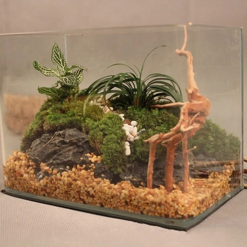 Natural Tree Trunk Driftwood A - огляд і ціна Aquarium Plant Roots