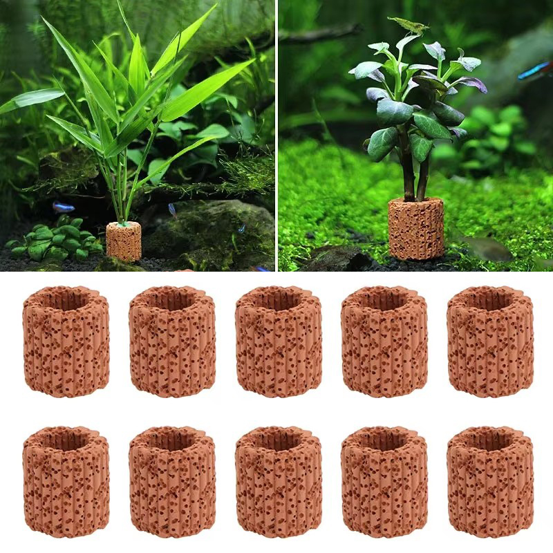 Aquatic Plant Fixed Ring for A - огляд і ціна Aquarium Plant Design