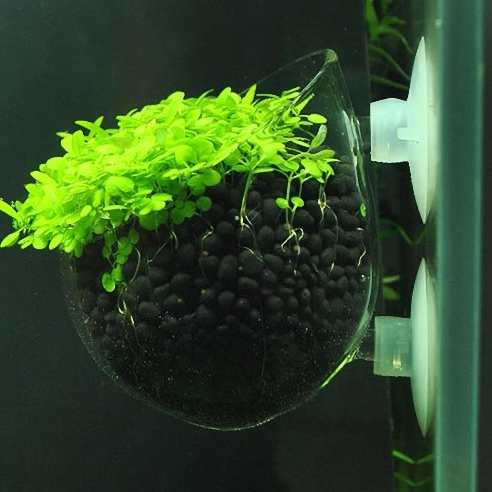 Aquarium Glass Plant Pot with  - огляд і ціна Aquarium Plant Gel