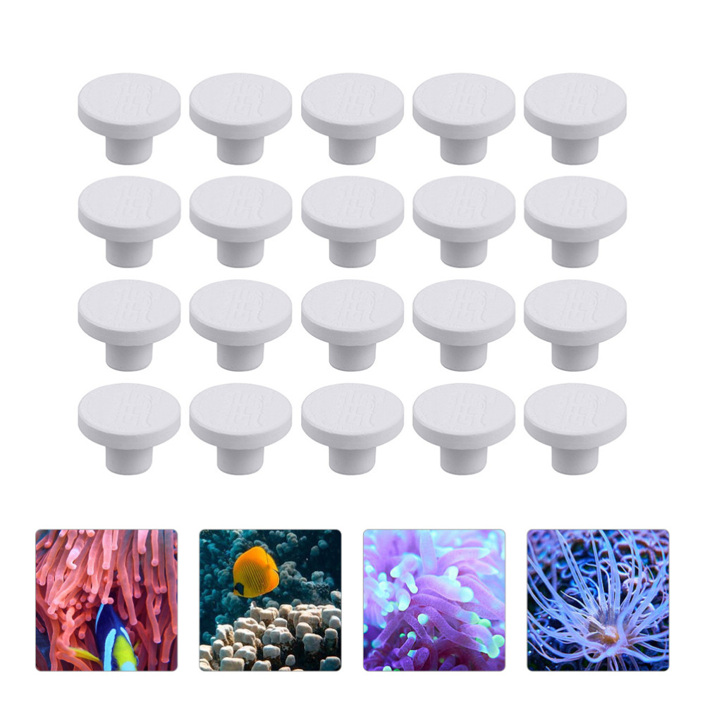 SPS Ceramic Coral Frag Plugs B - огляд і ціна Aquarium Plant Design