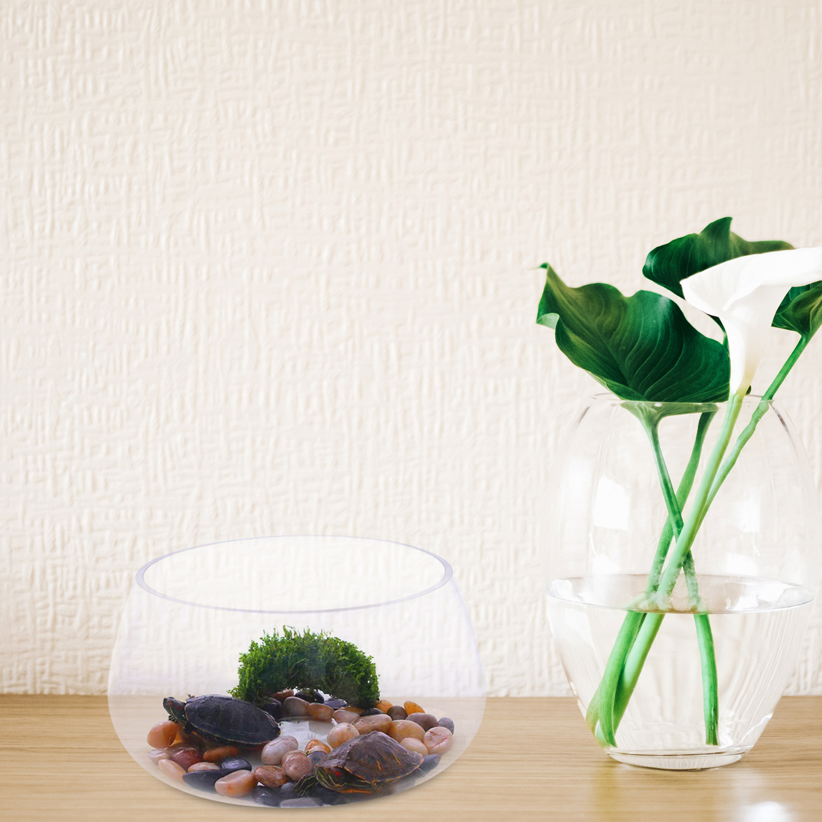 Round Clear Glass Mini Aquariu - огляд і ціна Aquarium Planted Shop