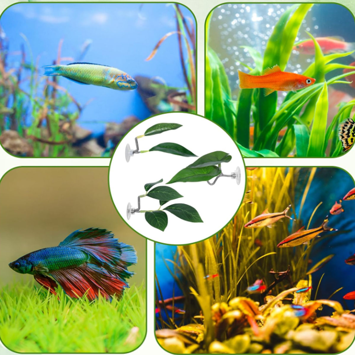 1 PC Betta Fish Hammock Soft A - огляд і ціна Aquarium Plant Design