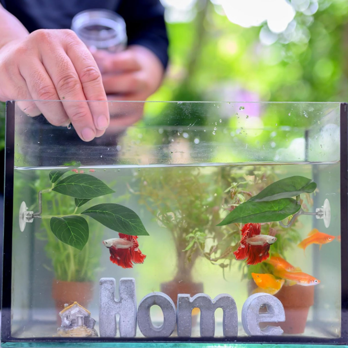 1 PC Betta Fish Hammock Soft A - огляд і ціна Aquarium Plant Design