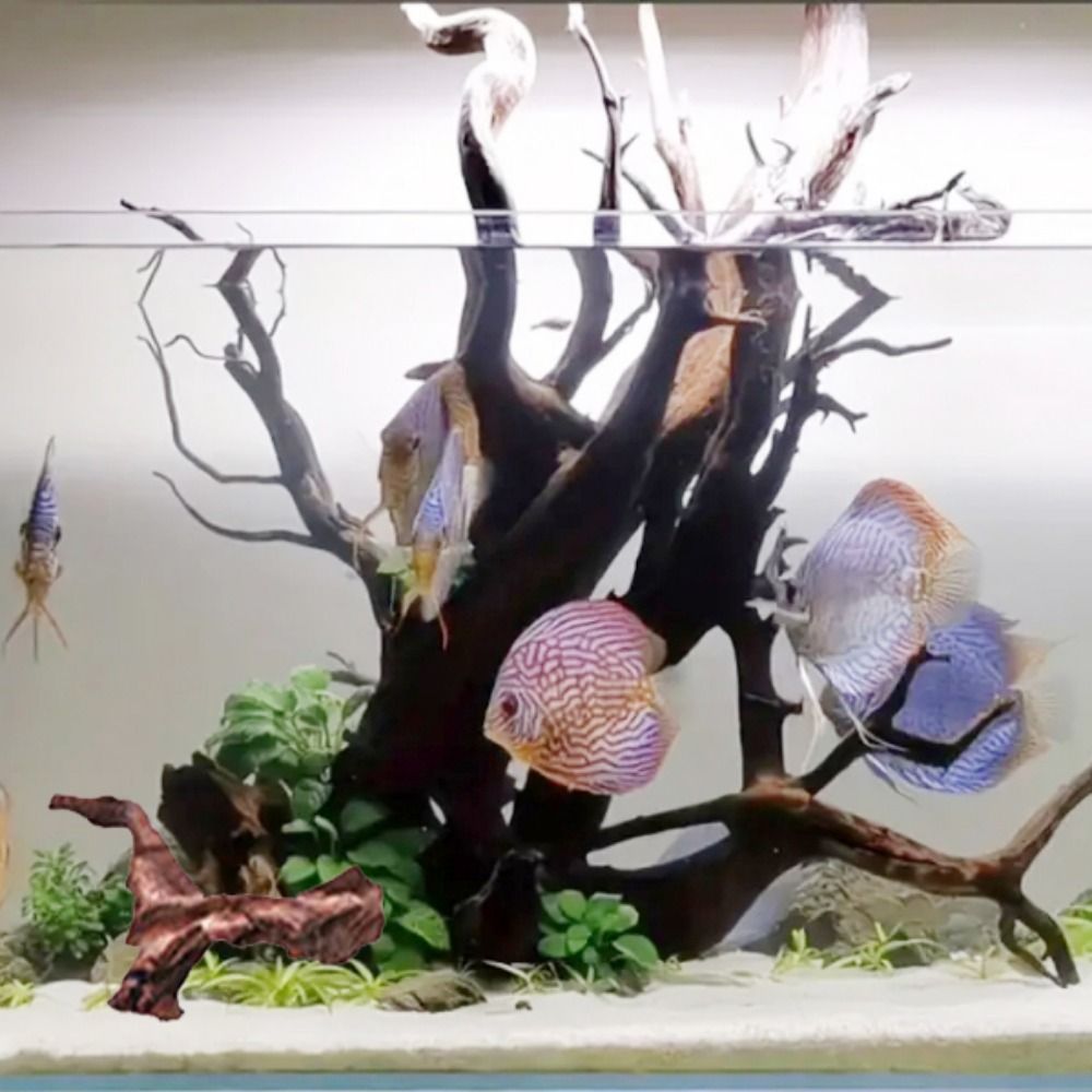 Creative Irregular Shape Coral - огляд і ціна Aquarium Plant Roots